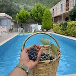 Hotel Ali Baba Butik