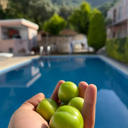 Hotel Ali Baba Butik *