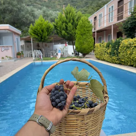 Hotel Ali Baba Butik